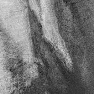 Limbdrift by Tansy Lee Moir, Image 4.