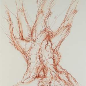 Kinclaven 003 by Tansy Lee Moir