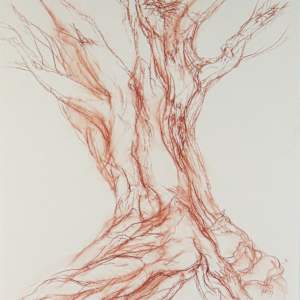 Kinclaven 002 by Tansy Lee Moir