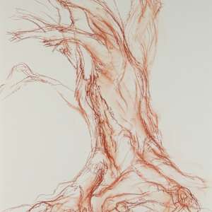 Kinclaven 001 by Tansy Lee Moir