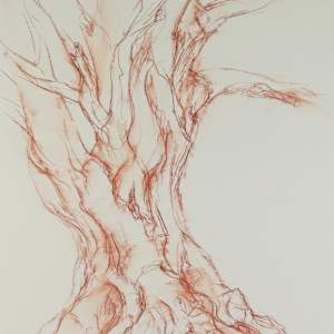 Kinclaven 004 by Tansy Lee Moir