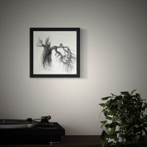 Sage by Tansy Lee Moir  Image: In situ