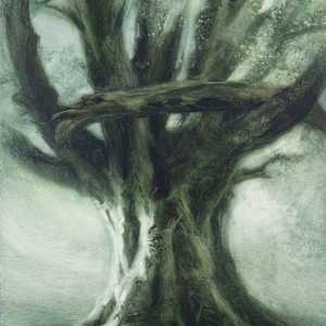 Shade revealed by Tansy Lee Moir, Image 1.