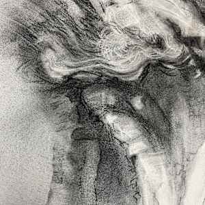 Slow fall by Tansy Lee Moir 