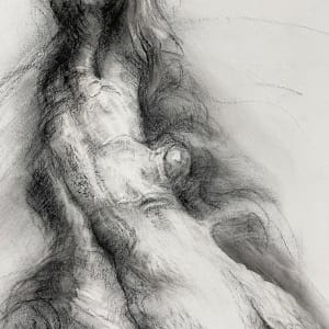 Transfigured by Tansy Lee Moir, Image 3.
