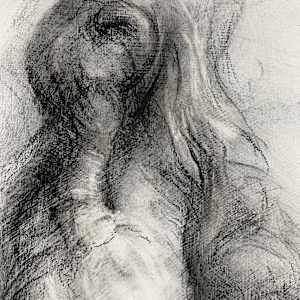 Transfigured by Tansy Lee Moir, Image 4.