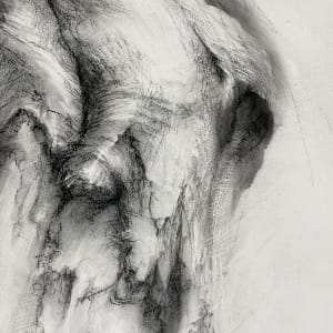 Transfigured by Tansy Lee Moir, Image 5.
