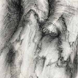 Transfigured by Tansy Lee Moir, Image 6.