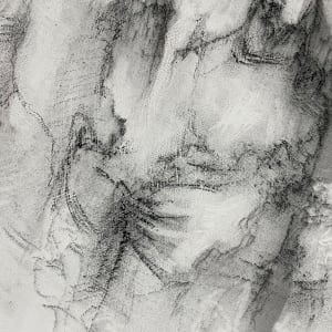 Transfigured by Tansy Lee Moir, Image 7.