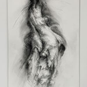 Transfigured by Tansy Lee Moir, Image 2.