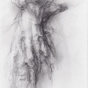 Transformation study 10 by Tansy Lee Moir