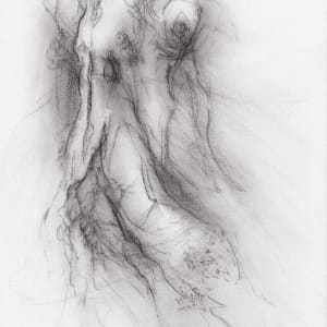 Transformation study 3 by Tansy Lee Moir, Image 1.