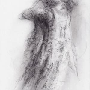 Transformation study 6 by Tansy Lee Moir