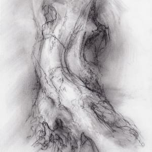 Transformation study 9 by Tansy Lee Moir