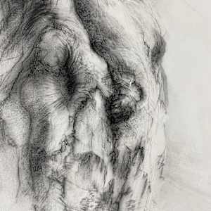 Transmuted by Tansy Lee Moir, Image 6.