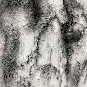 Transmuted by Tansy Lee Moir, Image 7.