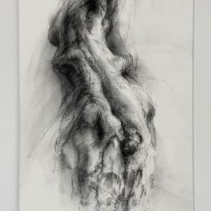 Transmuted by Tansy Lee Moir, Image 2.