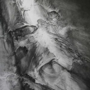 Philpstoun ghost beech, Image 1.