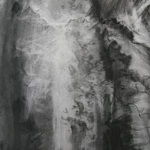 Philpstoun ghost beech, Image 2.