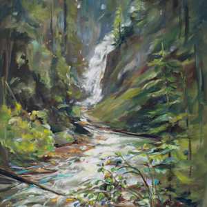Glistening light - Bear creek falls by Michelle Austen