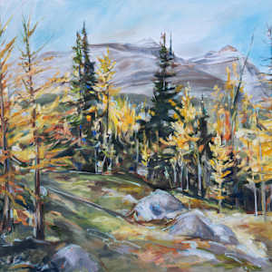 Morning glow on the way to Odaray Prospect by Michelle Austen