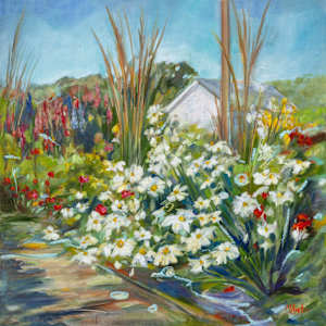 Where the daisies dance by Michelle Austen