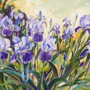 Message  from Iris by Michelle Austen