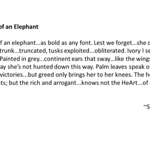 HeArt of an Elephant 