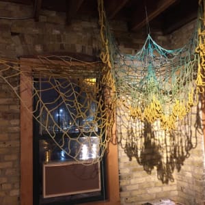 Web of Life by Carley Knight, Image 1.