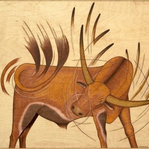 Strong Bull Scratching by Djibril N'Doye