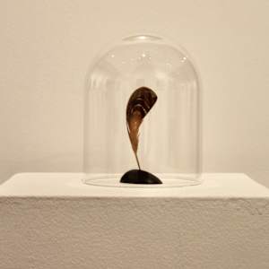 Feather by Miriam Carpenter