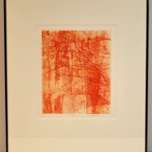 Veiled by Rosalyn Richards