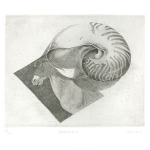 Nautilus #3 by Pat Hardy