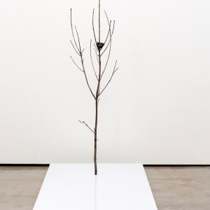 Only Tree (With Nest) by Emily Arthur