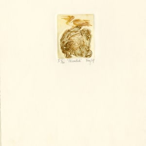 Pelican Rock II by Mary Tift 