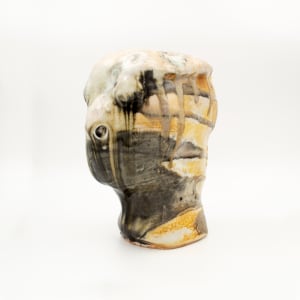 Untitled [Silent Witness] by Mary Bowron