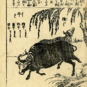 Two Bullocks by Shinsui