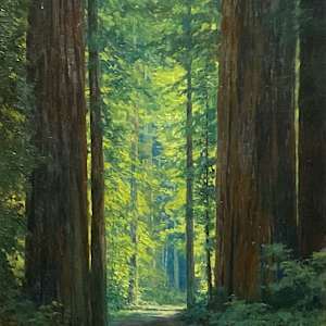 Bohemian Grove by Lorenzo Latimer