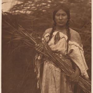 The Rush Gatherer - Arikara by Edward Sheriff Curtis