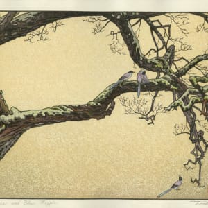 Plum Tree and Blue Magpie (Juzukake no Ume) by Toshi Yoshida