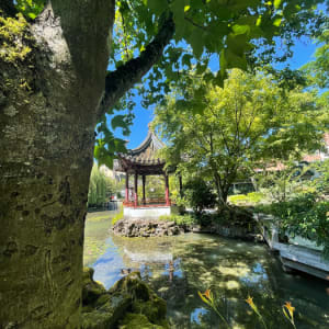 Dr. Sun Yat-Sen Classical Chinese Garden by Regina Martinez