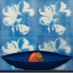 Persimmon in Blue Bowl by Claudia Hollister
