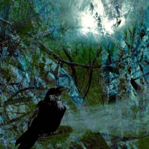 Raven by James Burton