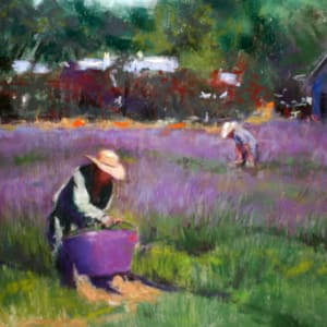 The Lavender Harvesters by Nori Thorne