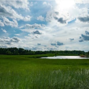 The Prairie Pond by Angela Carroll