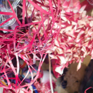 Sweet- Tempered, Image 6.