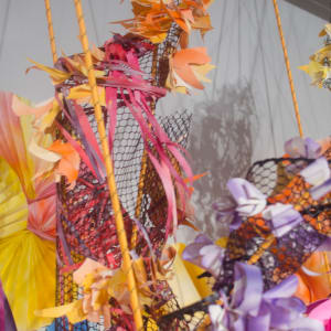 Wild Whimsy, Image 1.