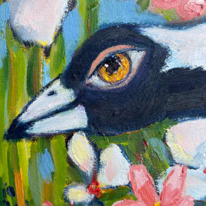 Curious Magpie by Wendy Bache 