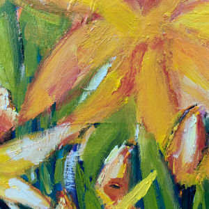 Daffodils by Wendy Bache 