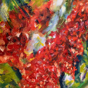 Tannum Poinciana by Wendy Bache 